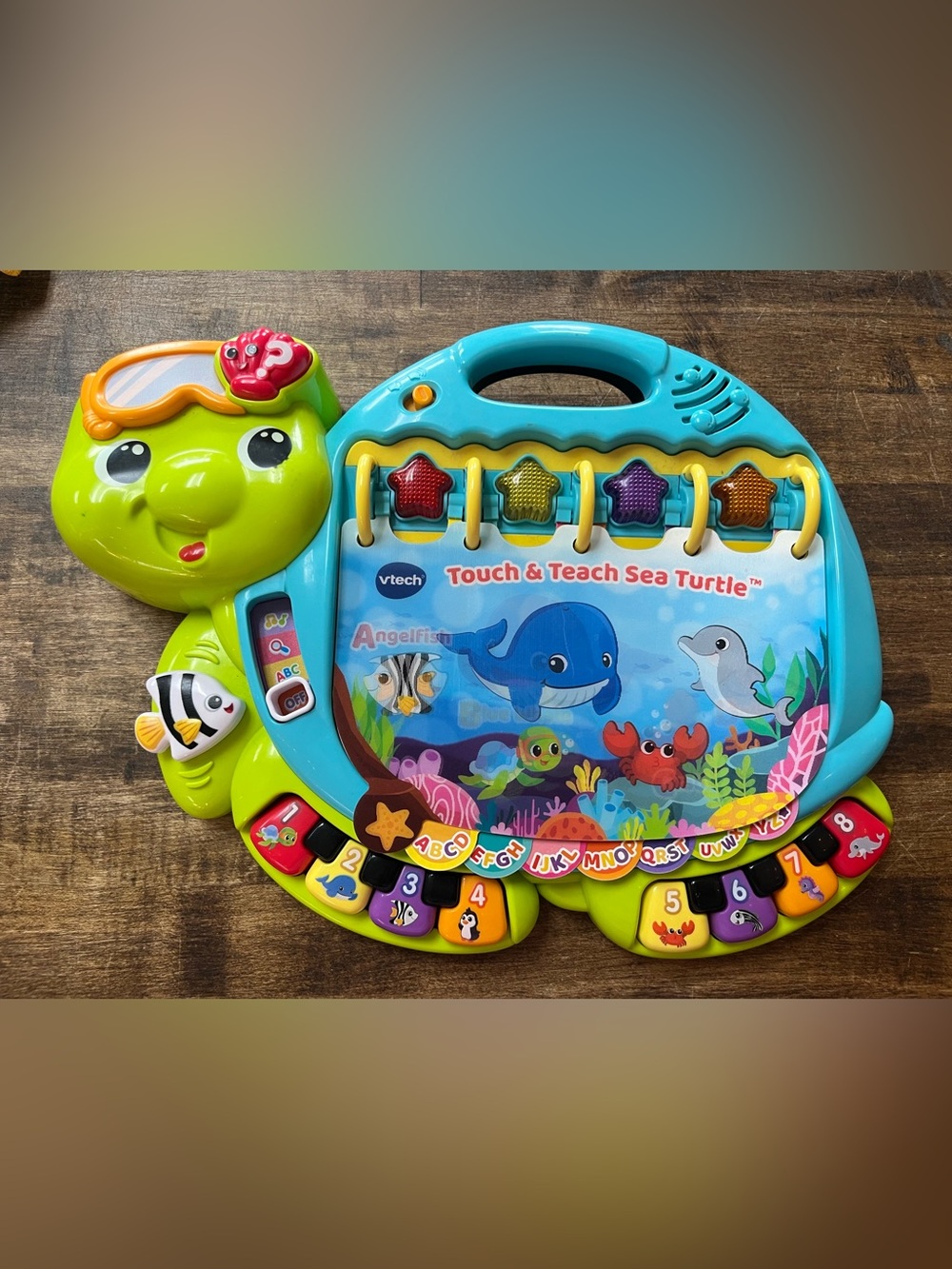 VTech Touch & Teach Sea Turtle Baby and Toddler Toys